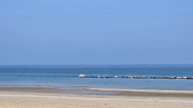 FanoVendita Hotel fronte mare