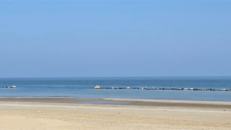 FanoVendita Hotel fronte mare